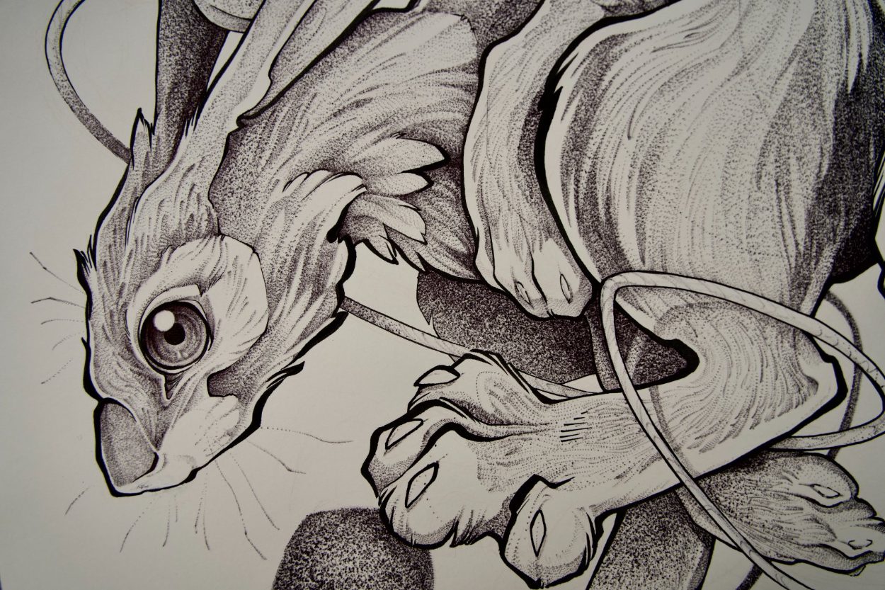 Illustration